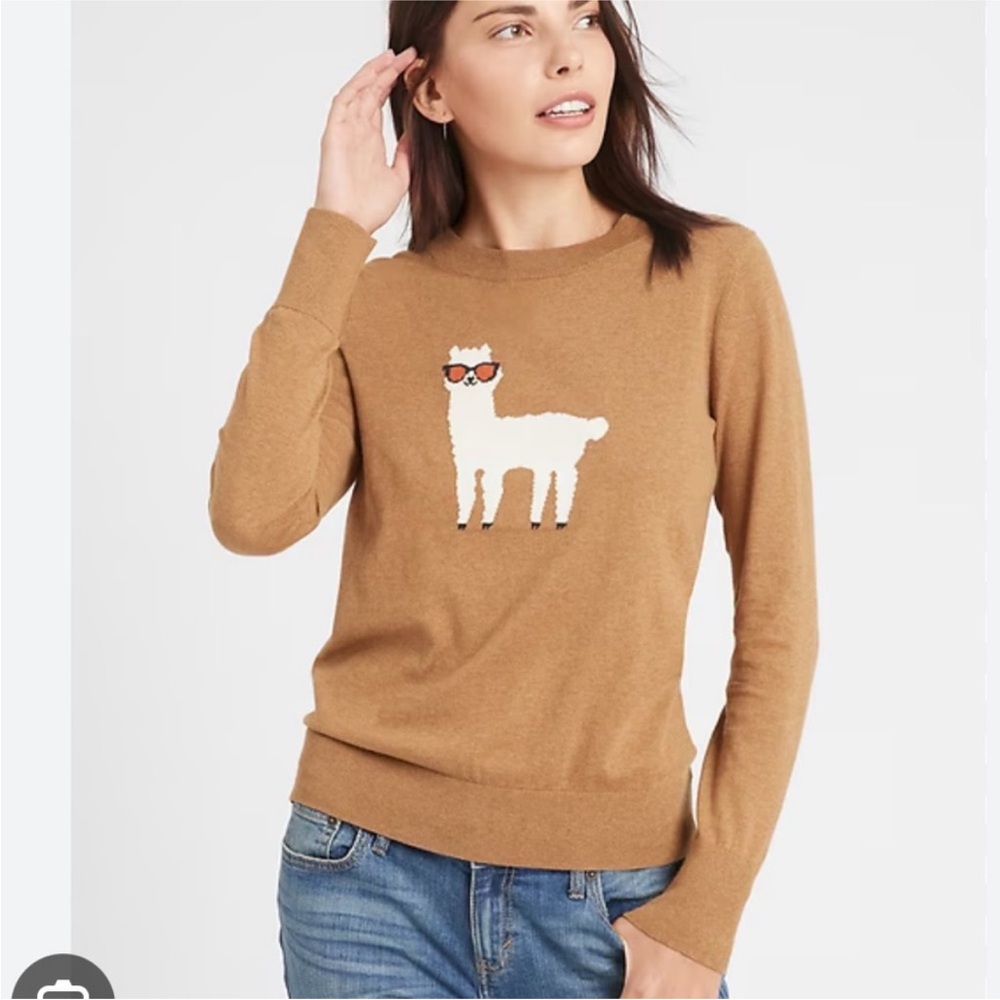 Banana Republic Brown Sweater with Llama Design